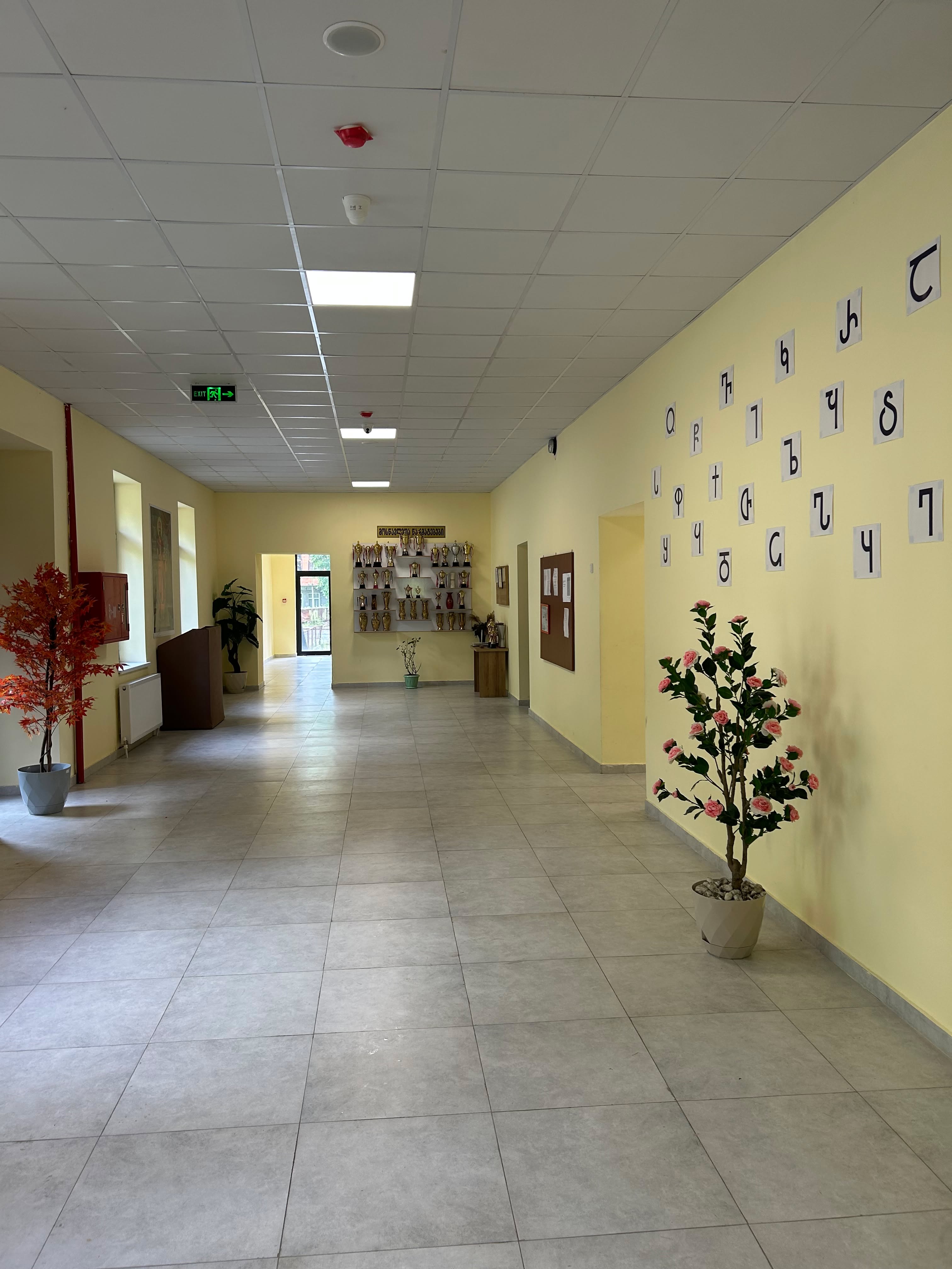 School corridor with Georgian alphabet wall display and student achievement trophies